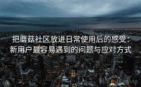 把蘑菇社区放进日常使用后的感受：新用户最容易遇到的问题与应对方式