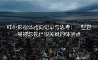 红桃影视体验向记录与思考:一些容易被忽视但很关键的体验点