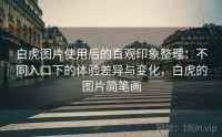 白虎图片使用后的直观印象整理：不同入口下的体验差异与变化，白虎的图片简笔画