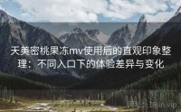 天美密桃果冻mv使用后的直观印象整理：不同入口下的体验差异与变化