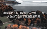 蘑菇网站｜偏日常的使用观察：不同人群使用场景下的适配度观察