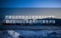 把蘑菇视频放进日常使用后的感受：稳定访问与日常使用的可靠性评估