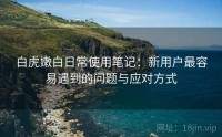 白虎嫩白日常使用笔记：新用户最容易遇到的问题与应对方式
