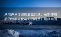从用户角度聊聊蘑菇网站：长期使用后的效率变化与习惯调整，蘑菇网图片