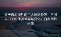 关于白虎图片的个人体验备忘：不同入口下的体验差异与变化，白虎图片头像