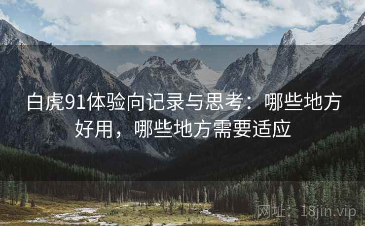 白虎91体验向记录与思考:哪些地方好用,哪些地方需要适应 白虎91体验向记录与思考:哪些地方好用,哪些地方需要适应