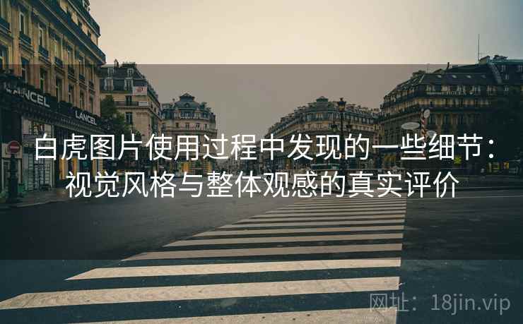 白虎图片使用过程中发现的一些细节:视觉风格与整体观感的真实评价 白虎图片使用过程中发现的一些细节:视觉风格与整体观感的真实评价