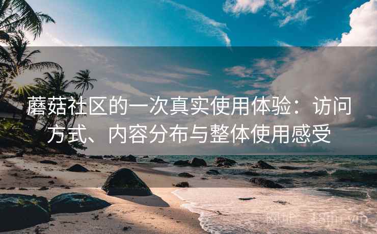 蘑菇社区的一次真实使用体验：访问方式、内容分布与整体使用感受