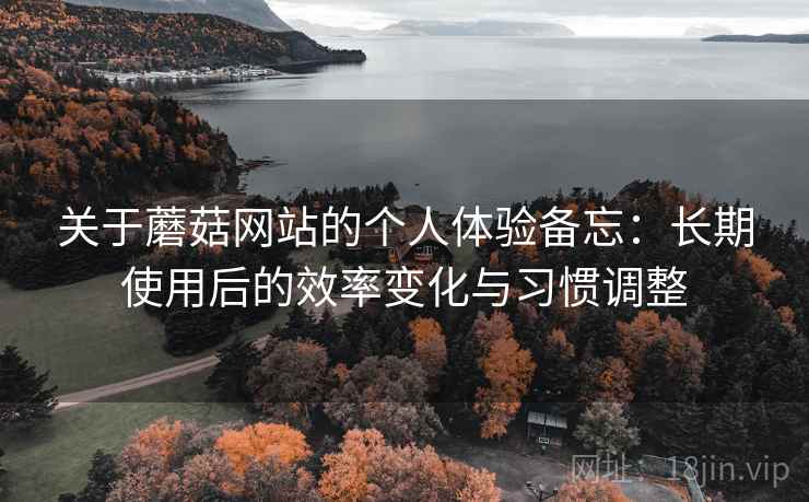 关于蘑菇网站的个人体验备忘：长期使用后的效率变化与习惯调整