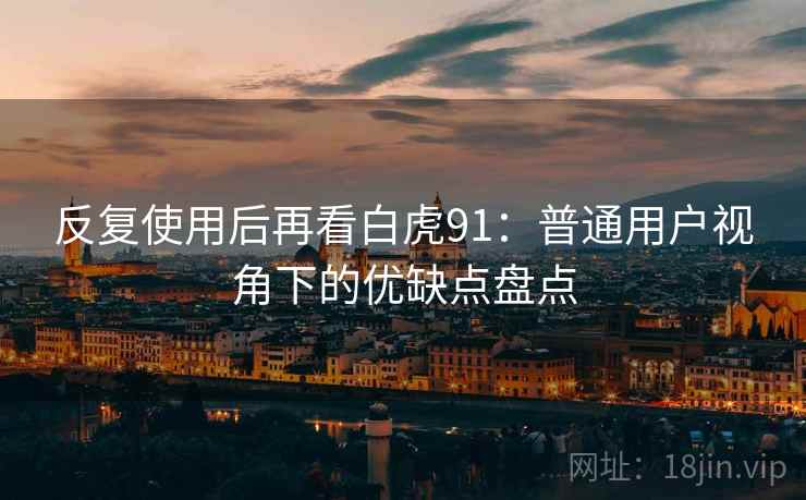 反复使用后再看白虎91：普通用户视角下的优缺点盘点