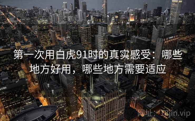 第一次用白虎91时的真实感受:哪些地方好用,哪些地方需要适应 第一次用白虎91时的真实感受:哪些地方好用,哪些地方需要适应