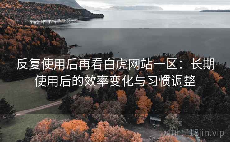 反复使用后再看白虎网站一区:长期使用后的效率变化与习惯调整 反复使用后再看白虎网站一区:长期使用后的效率变化与习惯调整