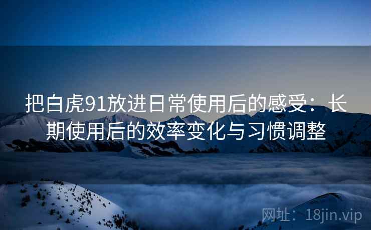 把白虎91放进日常使用后的感受:长期使用后的效率变化与习惯调整 把白虎91放进日常使用后的感受:长期使用后的效率变化与习惯调整