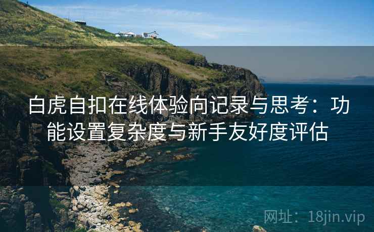 白虎自扣在线体验向记录与思考：功能设置复杂度与新手友好度评估